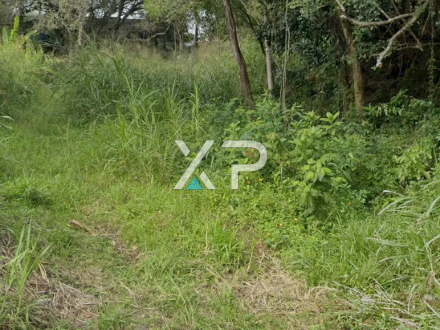 Terreno com 381m2 na Rua Aracua, Pantanal, Florianópolis/SC