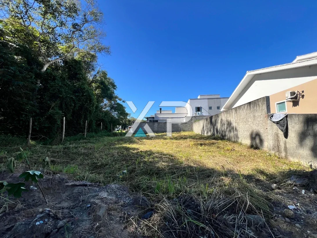 Terreno 239m² - Bela Vista