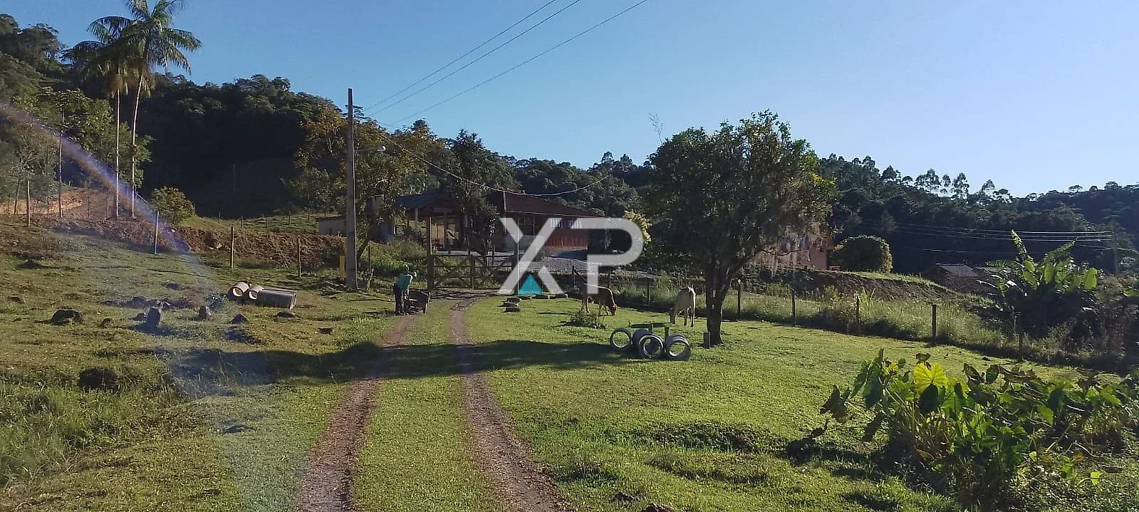 Sítio em Águas Mornas 2 hectares
