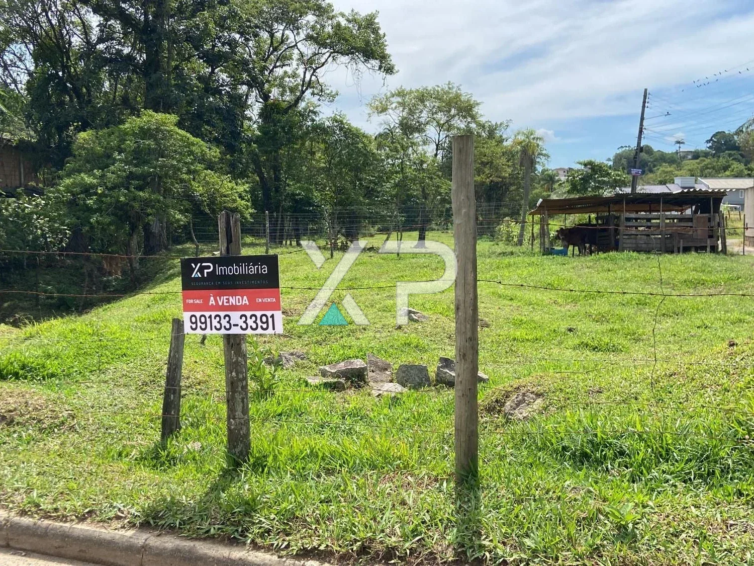 Terreno 11.000 m² - Alto Aririú